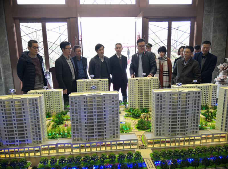 施祖法調研松陽美林&middot;南城壹號項目