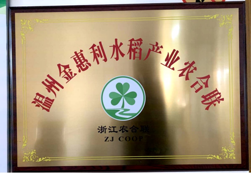 溫州金惠利水稻產業農合聯獲評&ldquo;省級農業產業化聯合體&rdquo;