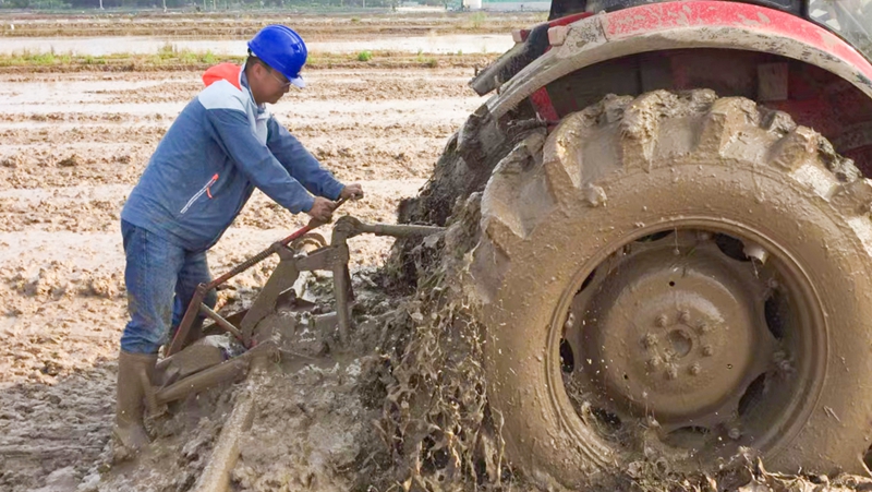 【匠心浙農】 浙農科技岱山項目負責人馬琨：把&ldquo;鹽堿田&rdquo;變&ldquo;致富田&rdquo;