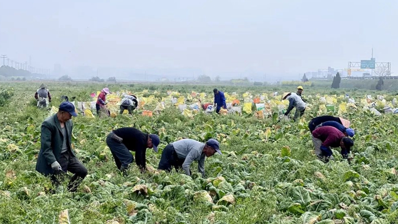 1679902578405296.jpg 2_副本.jpg