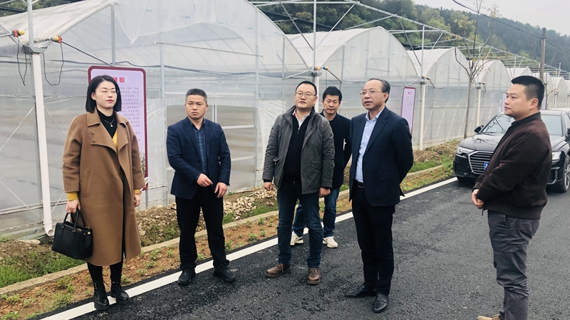 集團黨委赴衢州區域&ldquo;走基層調查研究&rdquo;