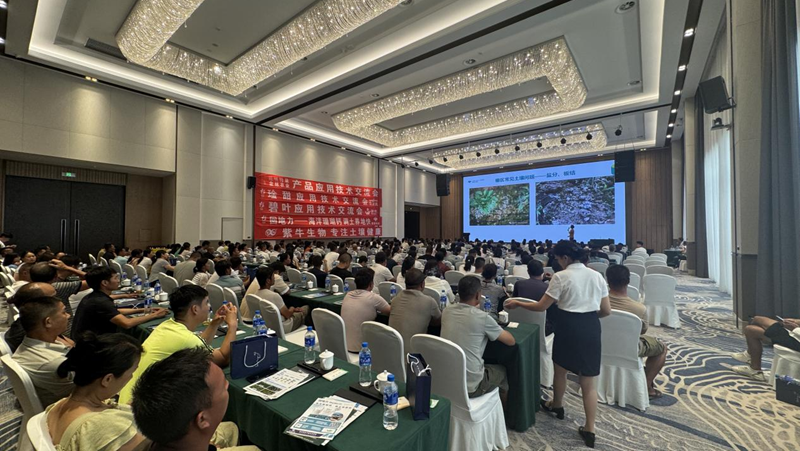 愛普科技在云南元謀推廣土壤大健康技術(shù) 助力蔬菜產(chǎn)業(yè)提質(zhì)增效