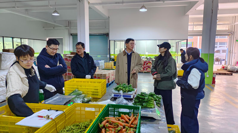 曹勇奇調研之豇種業農產品配送中心