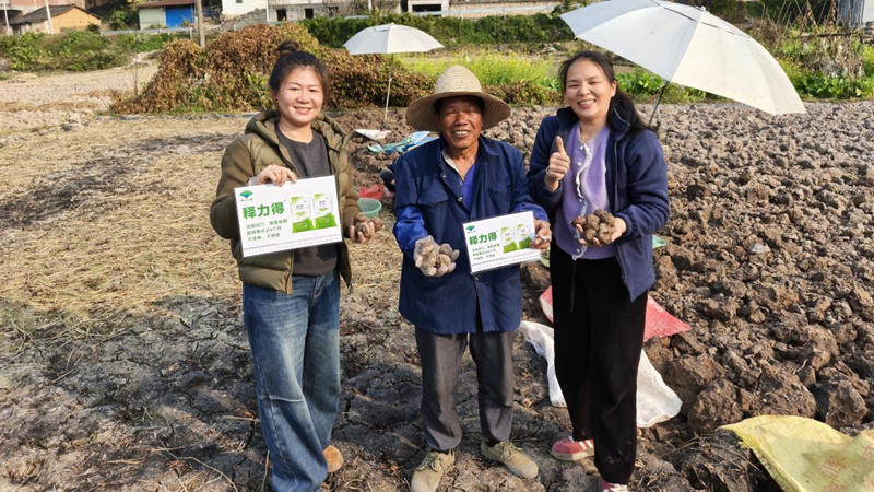 愛(ài)普科技助力荔浦馬蹄增產(chǎn)增收