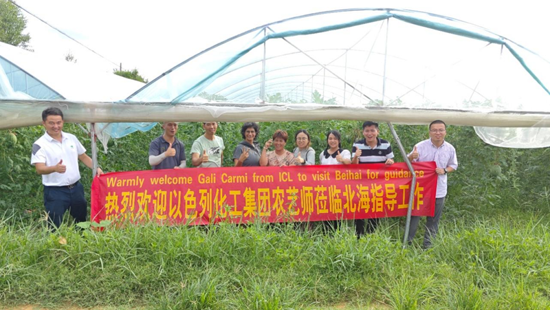 時令瓜果正當(dāng)季 技術(shù)服務(wù)到田間&mdash;&mdash;愛普科技攜手以色列農(nóng)藝師助力瓜農(nóng)穩(wěn)產(chǎn)增收